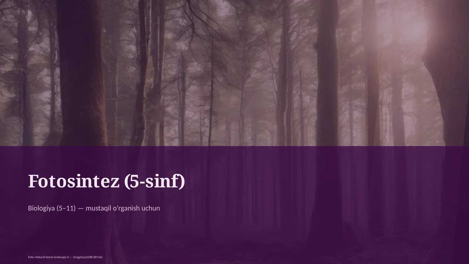 Fotosintez (5-sinf)