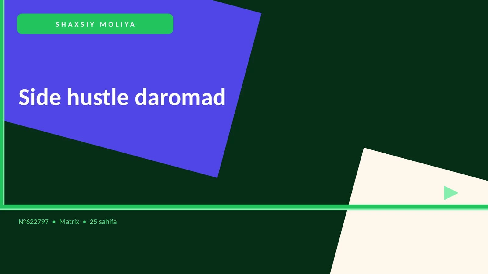 Side hustle daromad