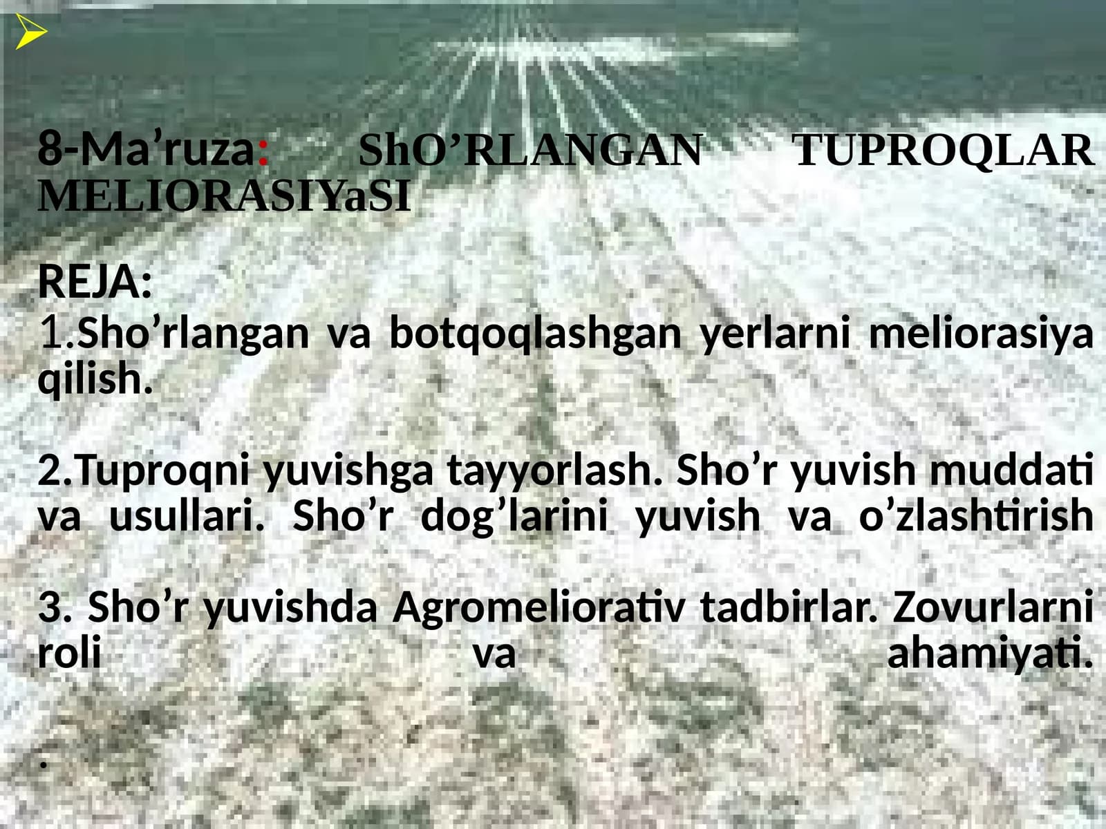 8-Ma’ruza:ShO’RLANGANTUPROQLARMELIORASIYaSIREJA:1.Sho’rlanganvabotqoqlashganyerlarnimeliorasiyaqilish.2.Tuproqniyuvishgatayyorlash.Sho’ryuvishmuddativausullari.Sho’rdog’lariniyuvishvao’zlashtirish3.Sho’ryuvishdaAgromeliorativtadbirlar.Zovurlarnirolivaahamiyati