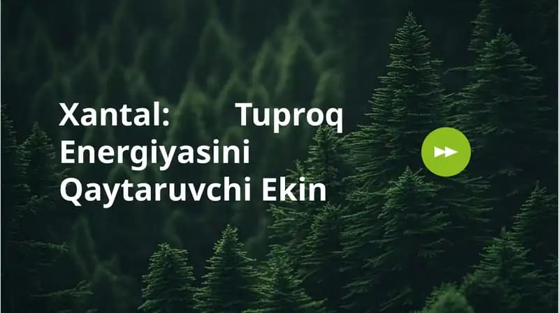 Xantalni siderat ekin sifatida yetishtirish