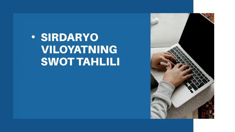 SIRDARYO VILOYATNING SWOT TAHLILI