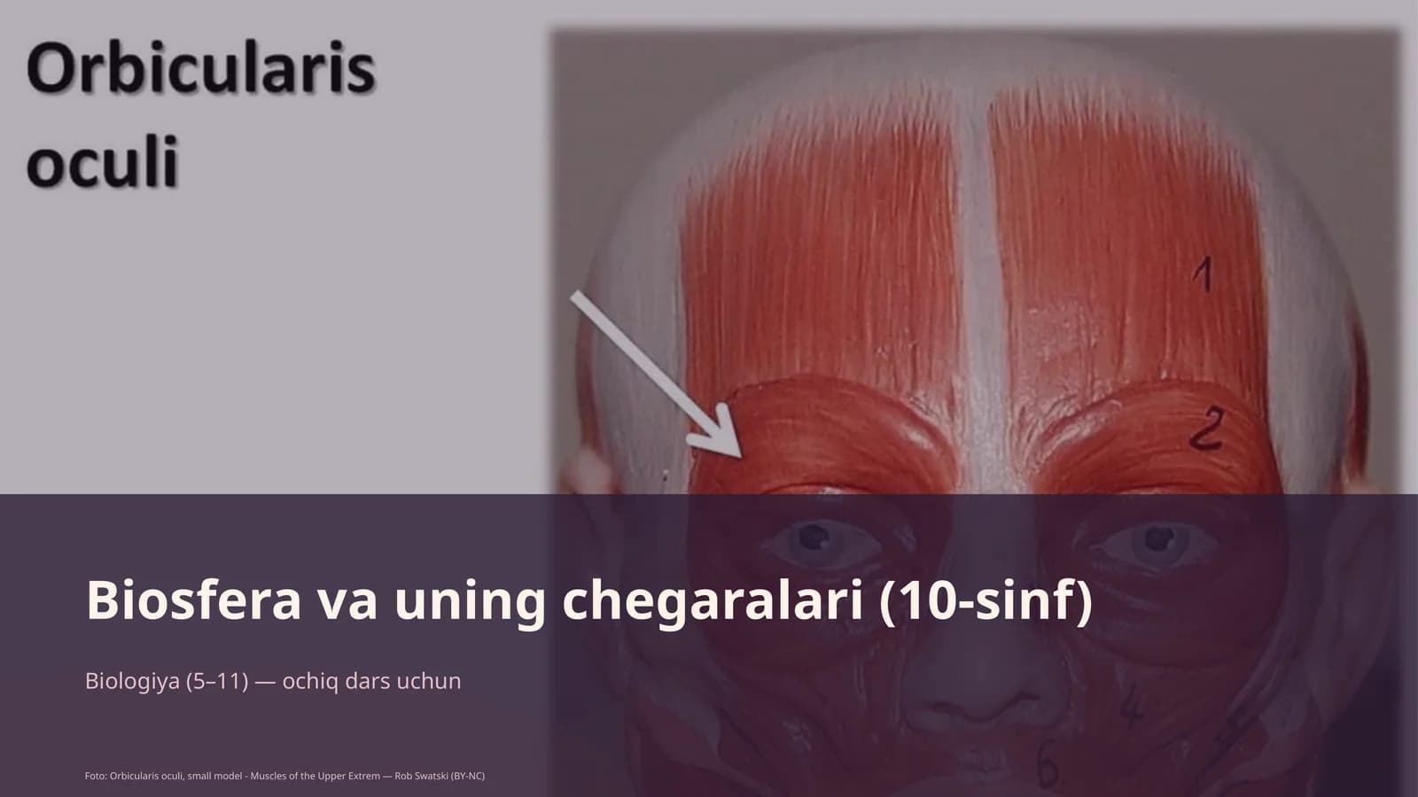 Biosfera va uning chegaralari (10-sinf)
