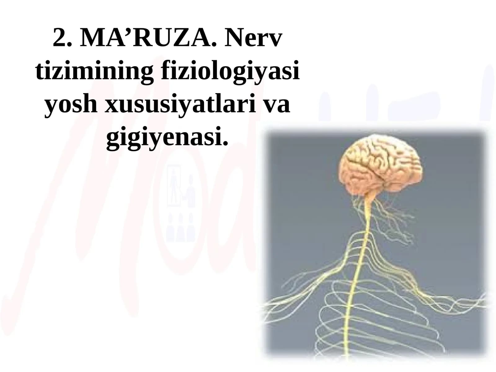 Nerv tizimining fiziologiyasi yosh xususiyatlarivagigiyenasi