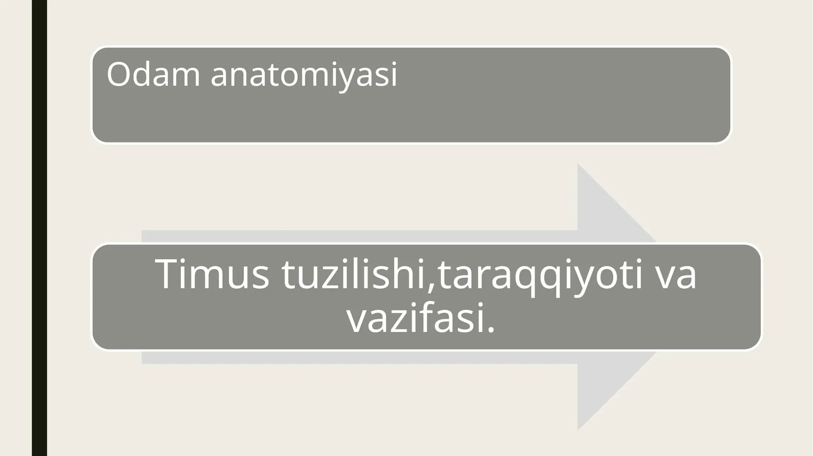 odam anatomiyasi timus tuzilishi 16t prezentatsiya