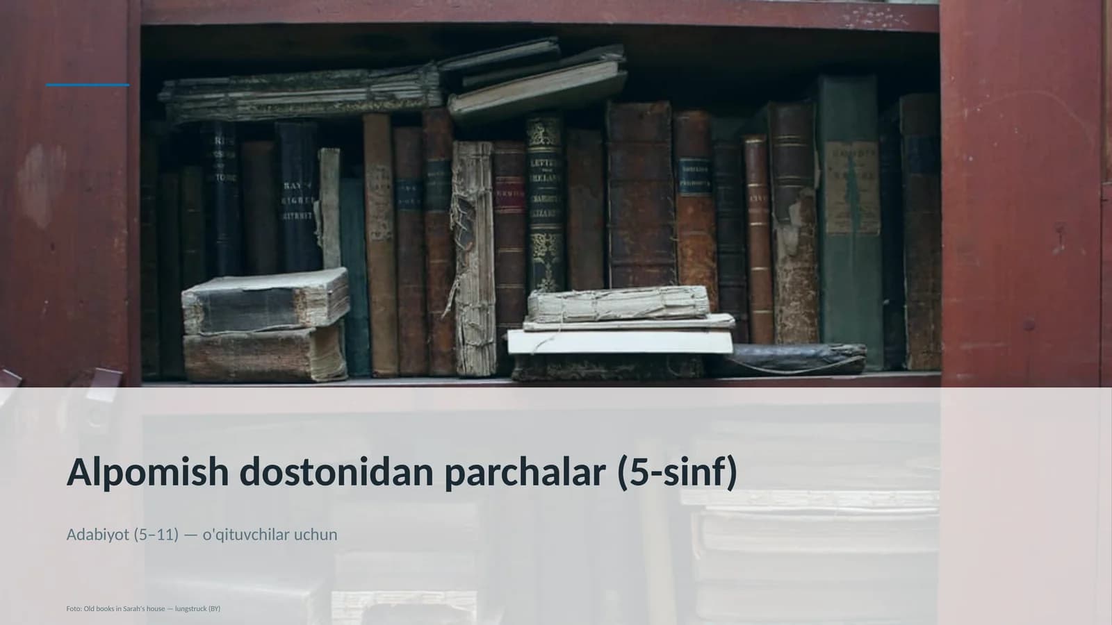 Alpomish dostonidan parchalar (5-sinf)