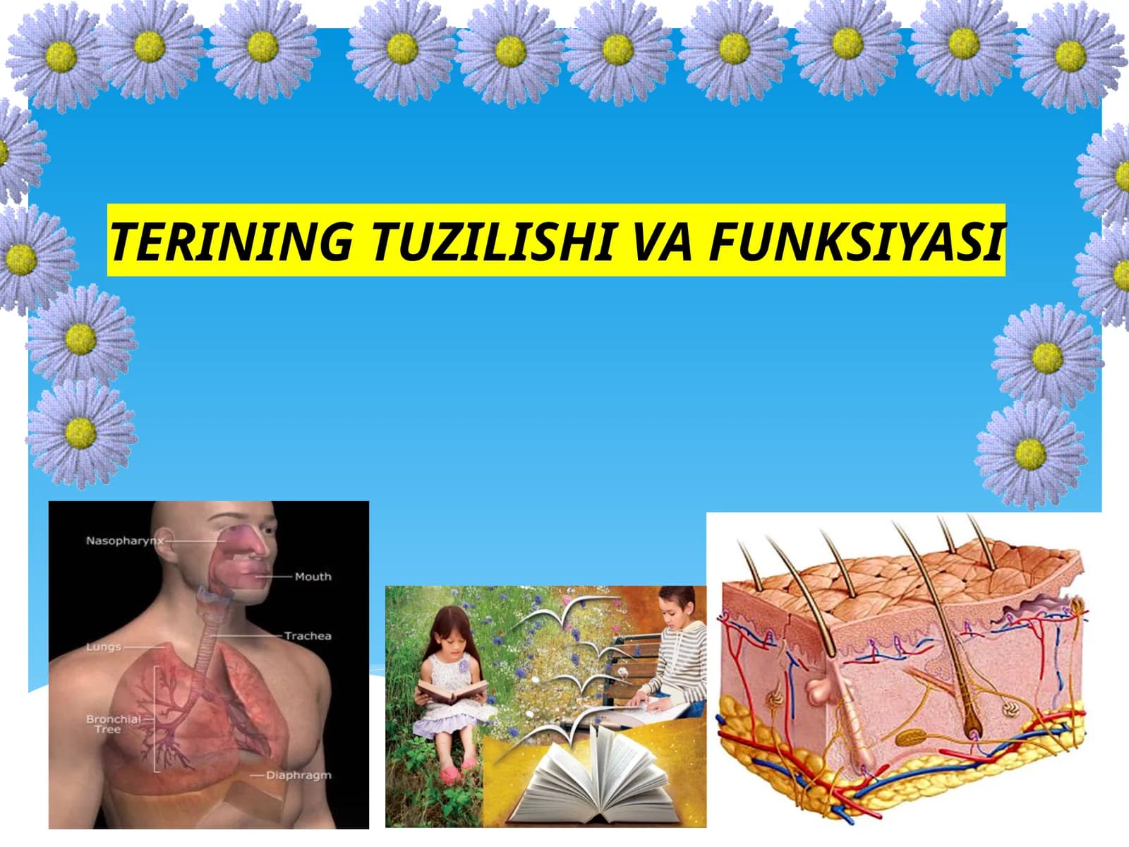TERINING TUZILISH VA FUNKSIYASI
