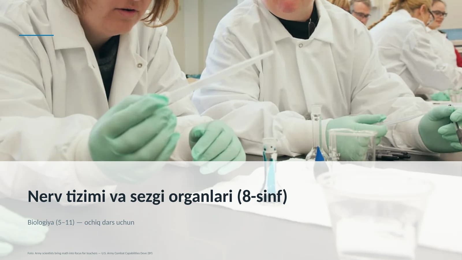Nerv tizimi va sezgi organlari (8-sinf)