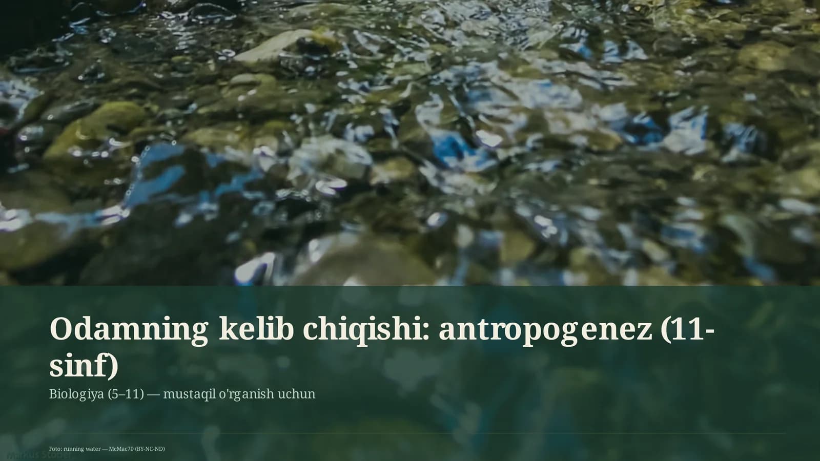 Odamning kelib chiqishi: antropogenez (11-sinf)