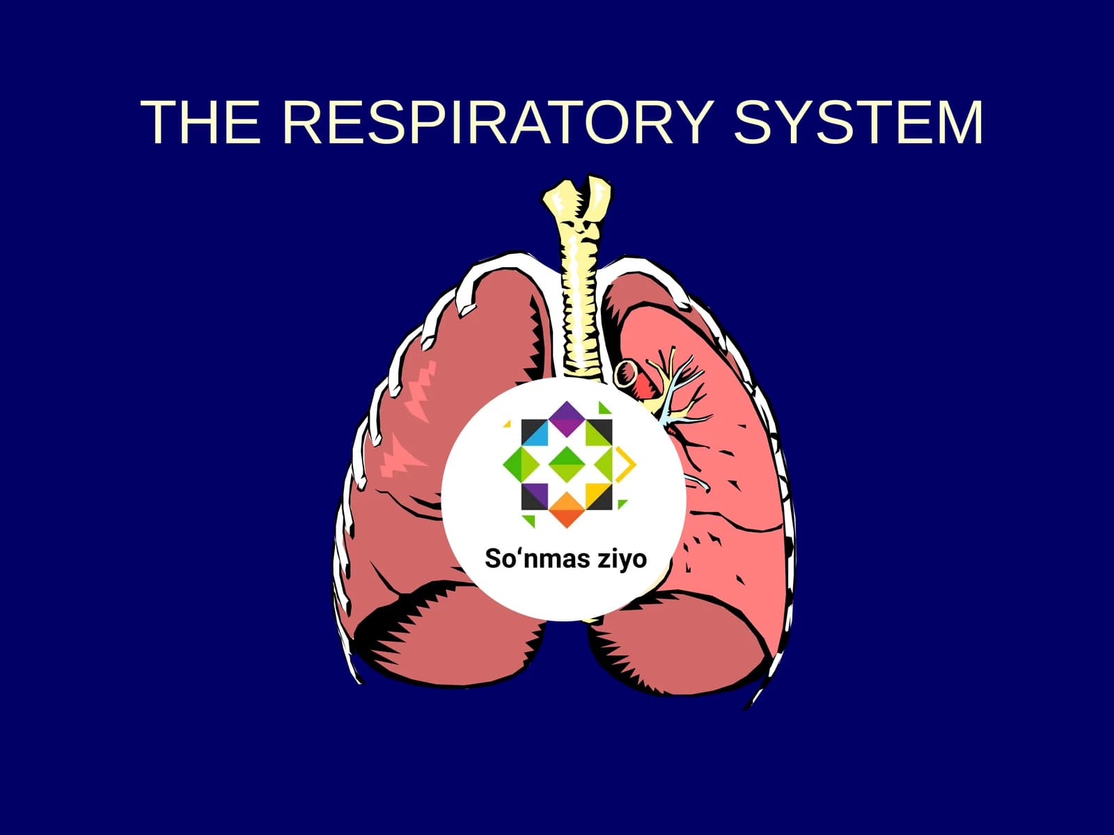 THE RESPIRATORY SYSTEM