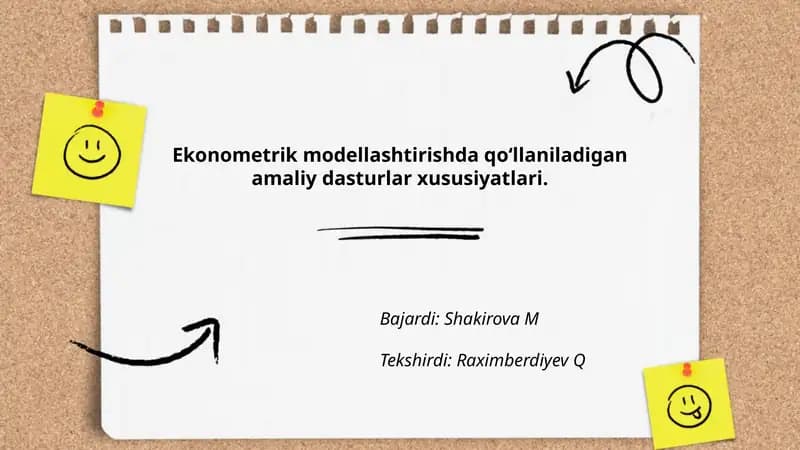 Ekonometrik modellashtirishda qo‘llaniladigan amaliy dasturlar xususiyatlari