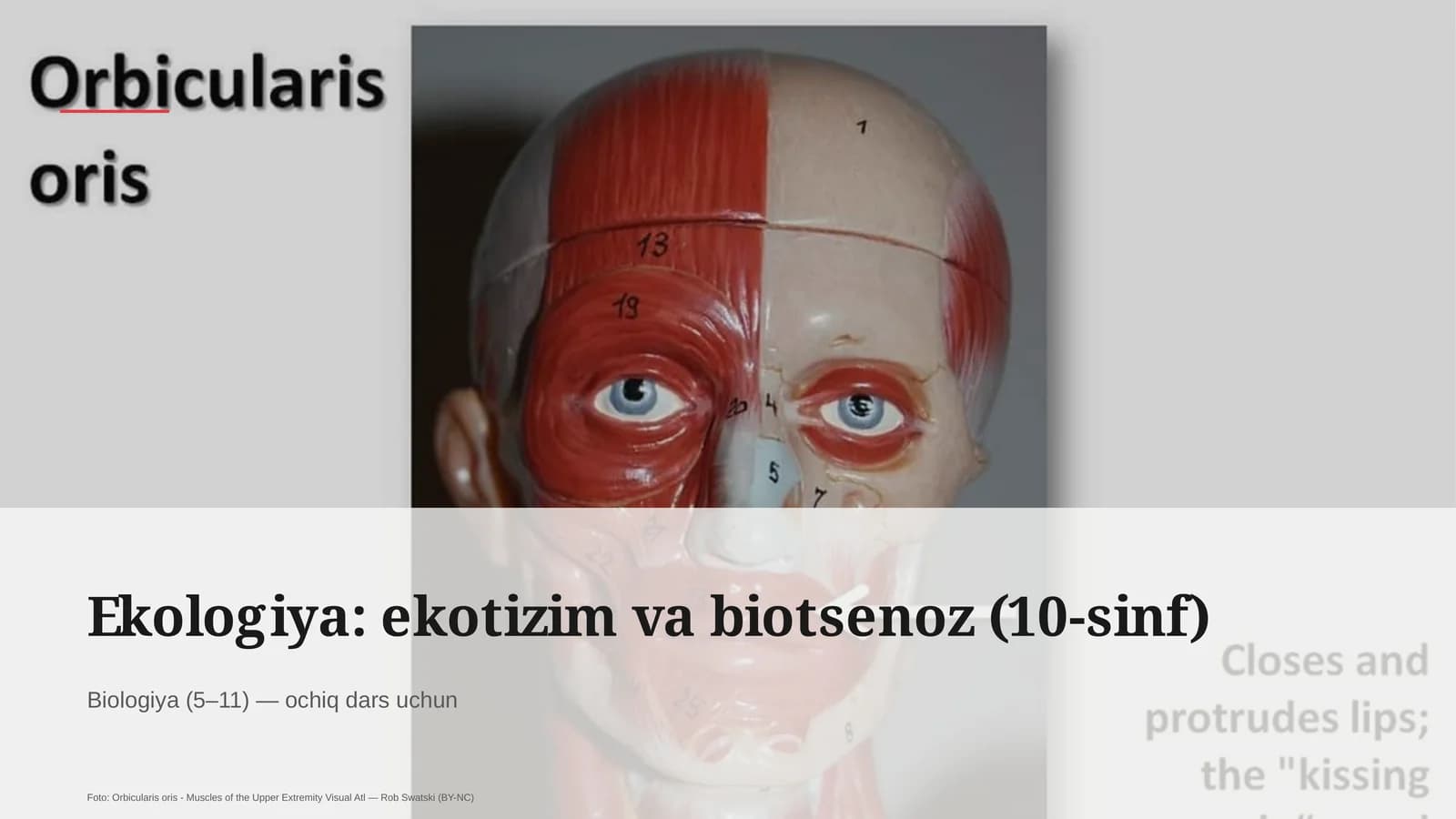 Ekologiya: ekotizim va biotsenoz (10-sinf)