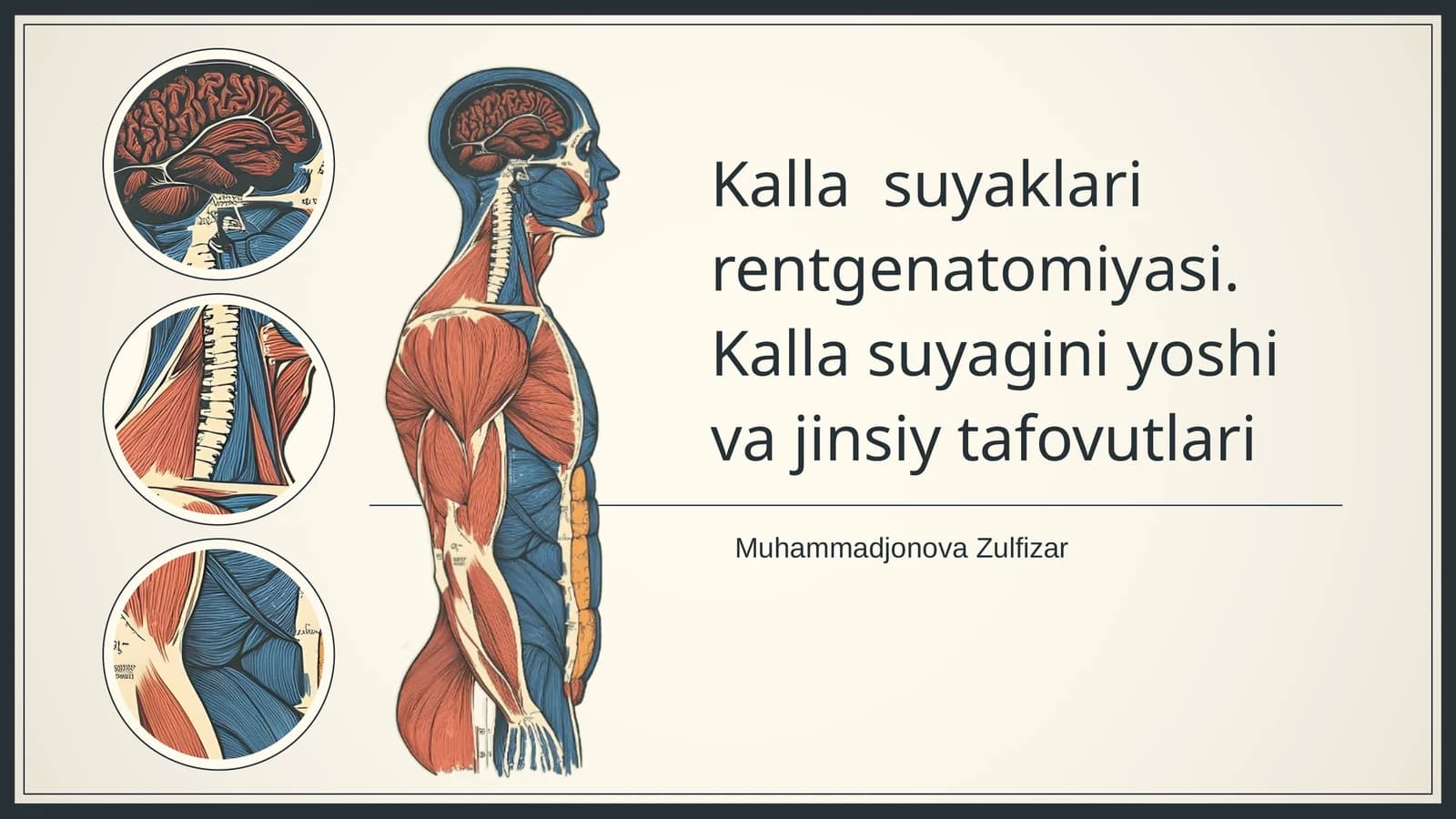 Kalla suyaklari rentgenatomiyasi