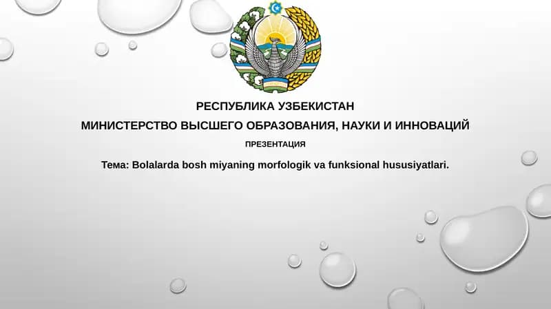 Bolalarda boshmiyaning morfologik va funksional hususiyatlari