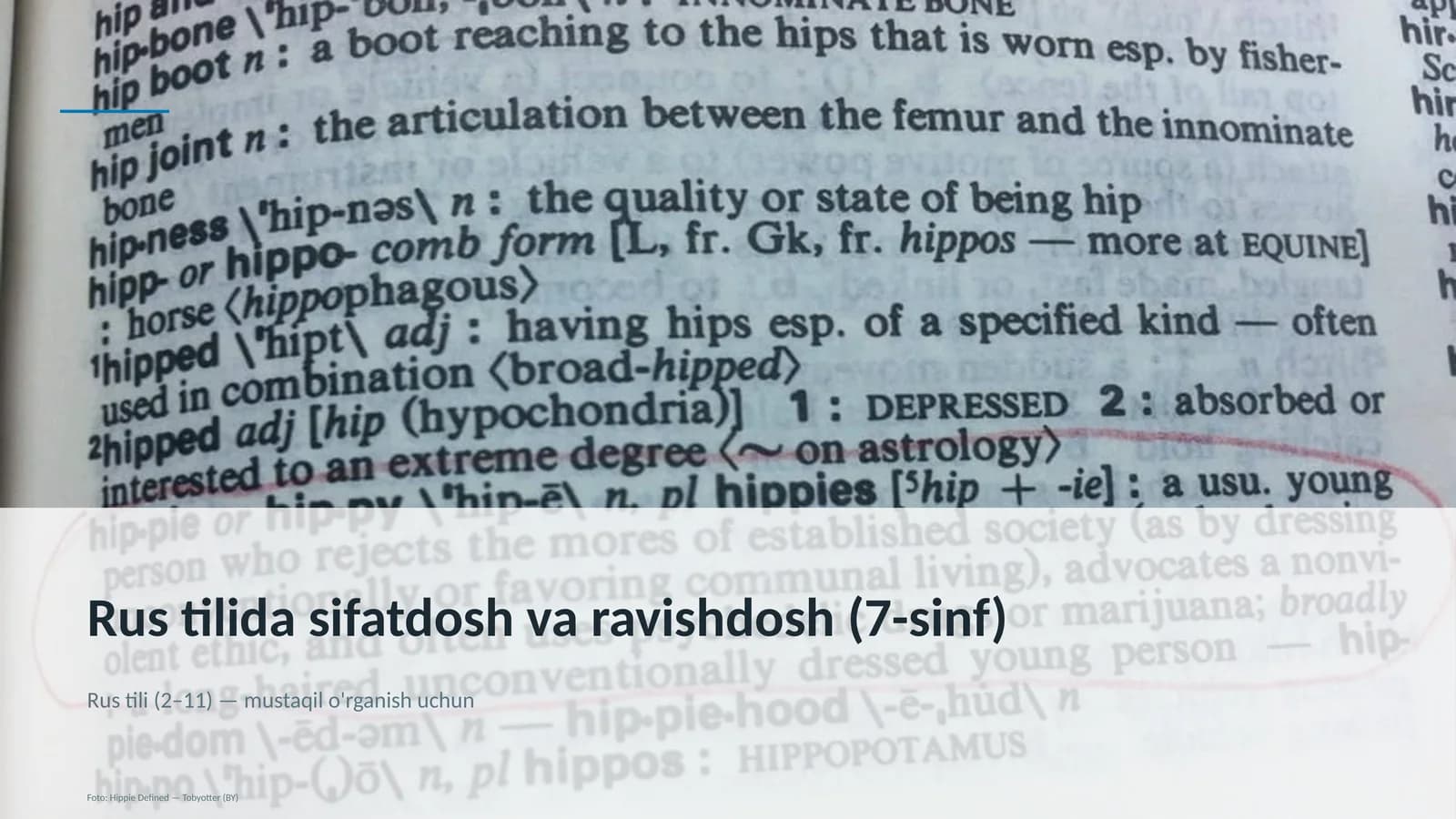 Rus tilida sifatdosh va ravishdosh (7-sinf)