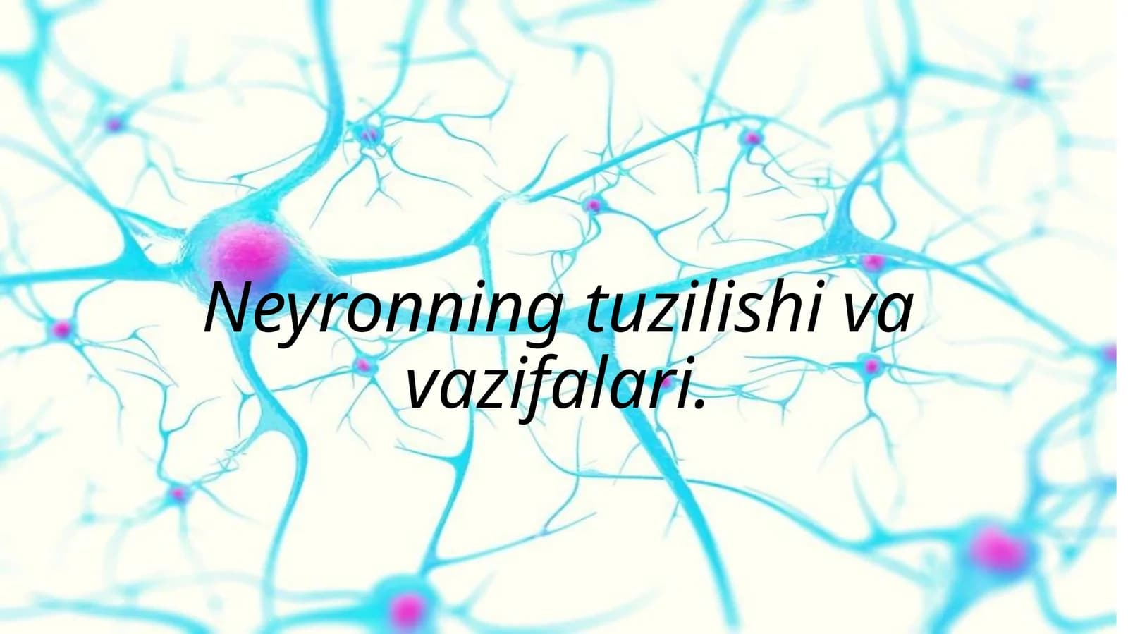 Neyronning tuzilishi va vazifalari