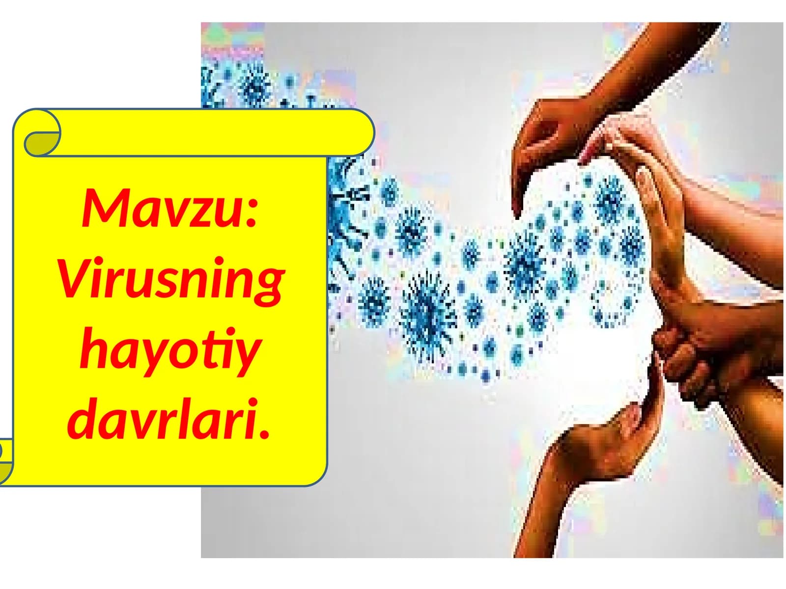 Viruslar va ularning hayotiy davrlari