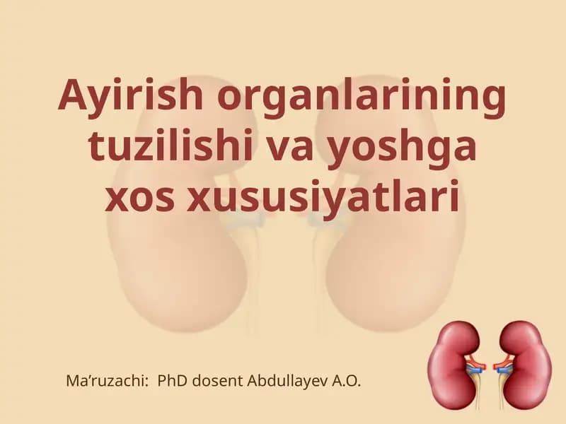 Ayirishorganlarining tuzilishi va yoshga oid xususiyatlari