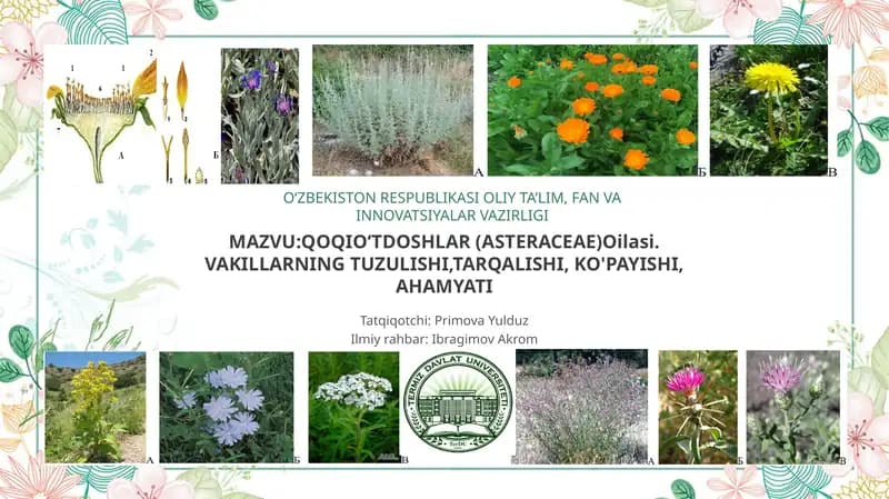Qoqioʻtdoshlar (Asteraceae)