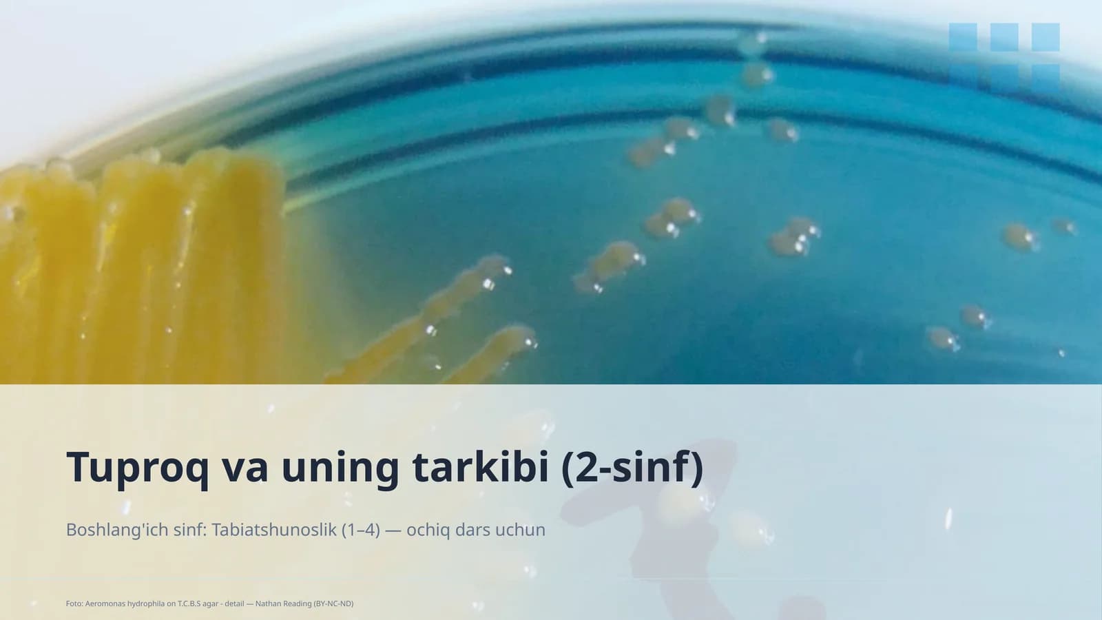 Tuproq va uning tarkibi (2-sinf)