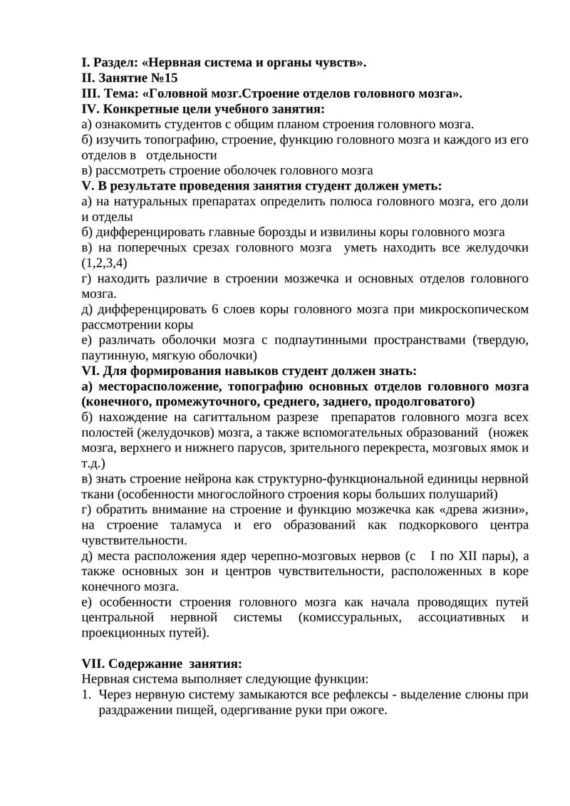 "Головной мозг. Строение отделов головного мозга"