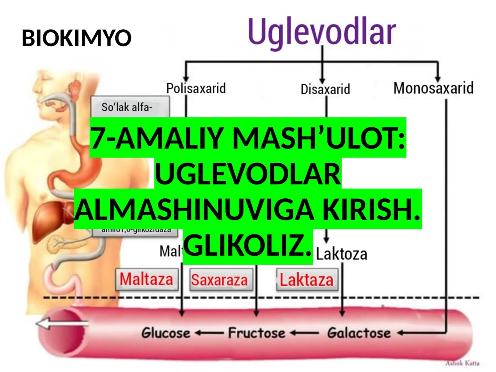 7-AMALIY MASH’ULOT: UGLEVODLAR ALMASHINUVIGA