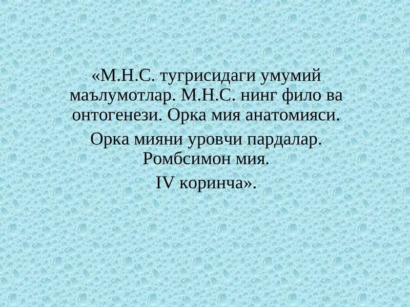 М.Н.С. тугрисидаги умумий маълумотлар
