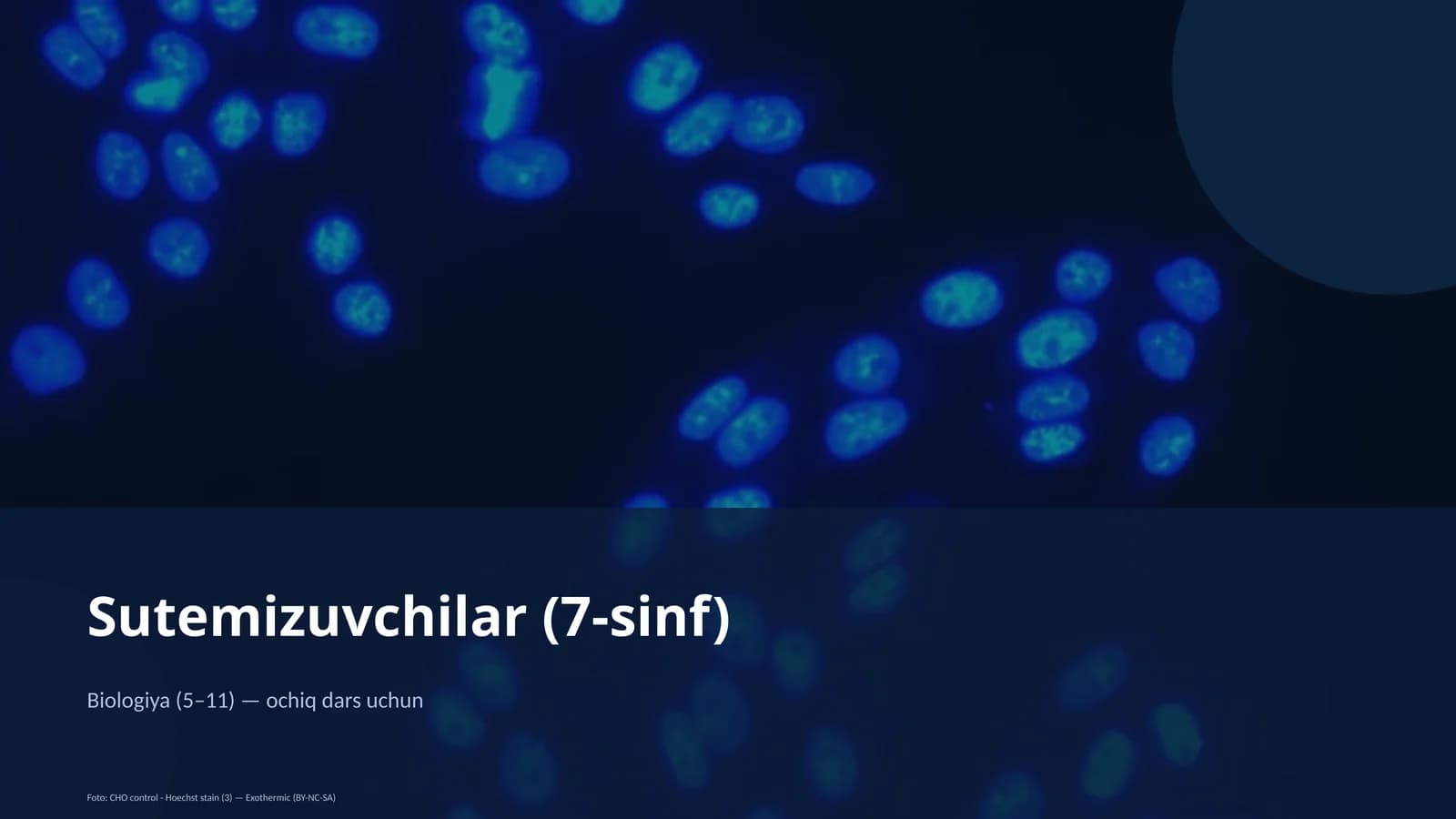 Sutemizuvchilar (7-sinf)
