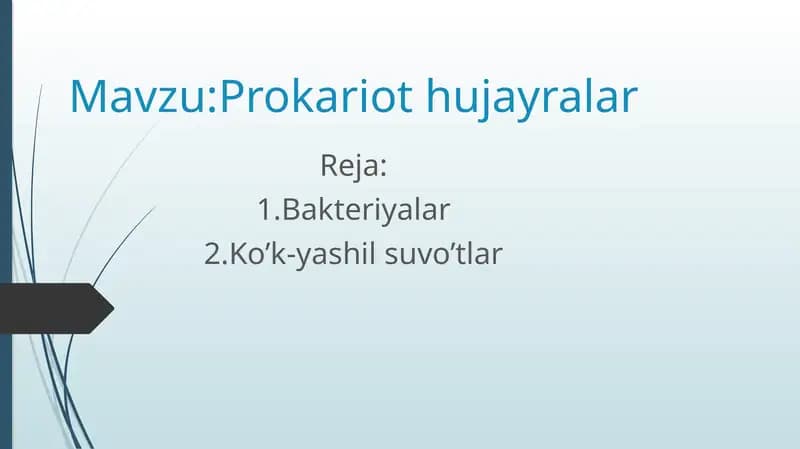 Prokariothujayralar