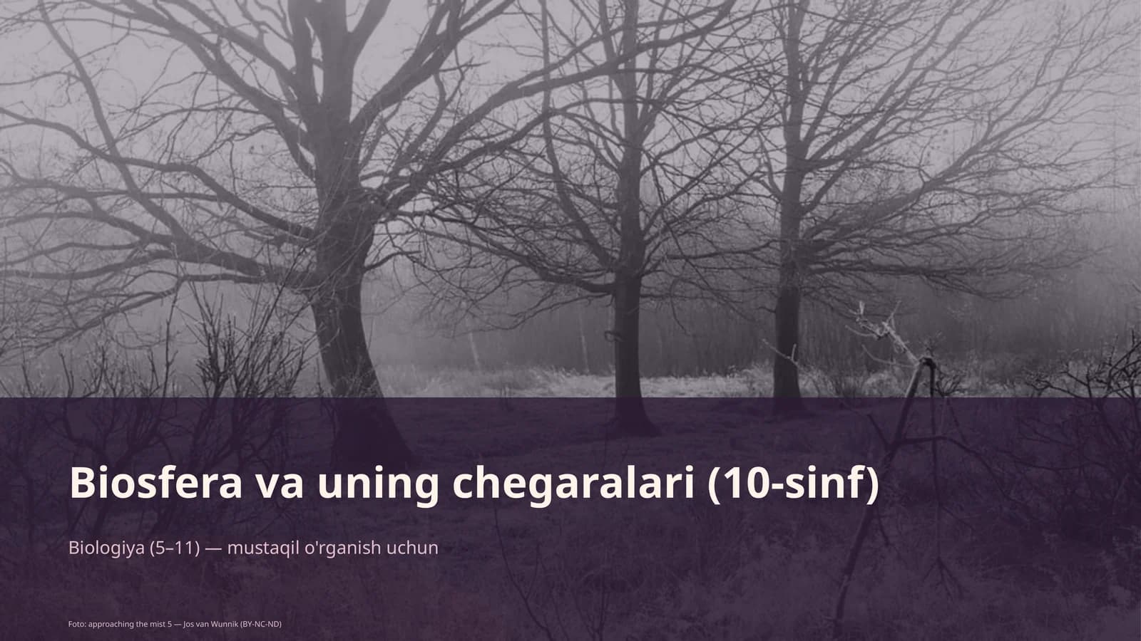 Biosfera va uning chegaralari (10-sinf)