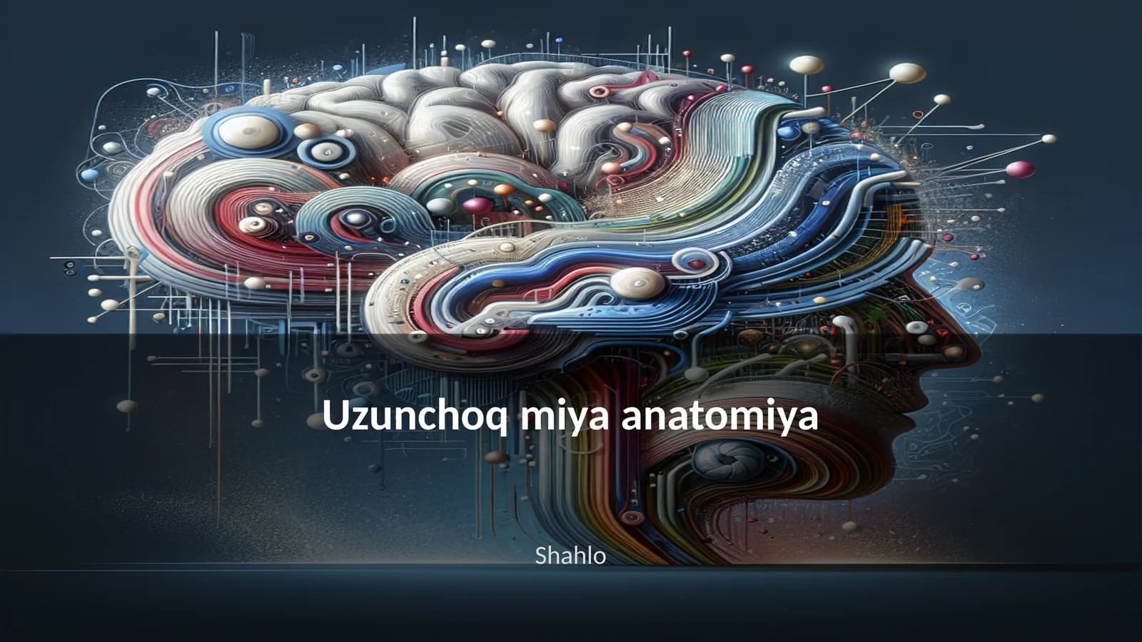 Uzunchoq miya anatomiya