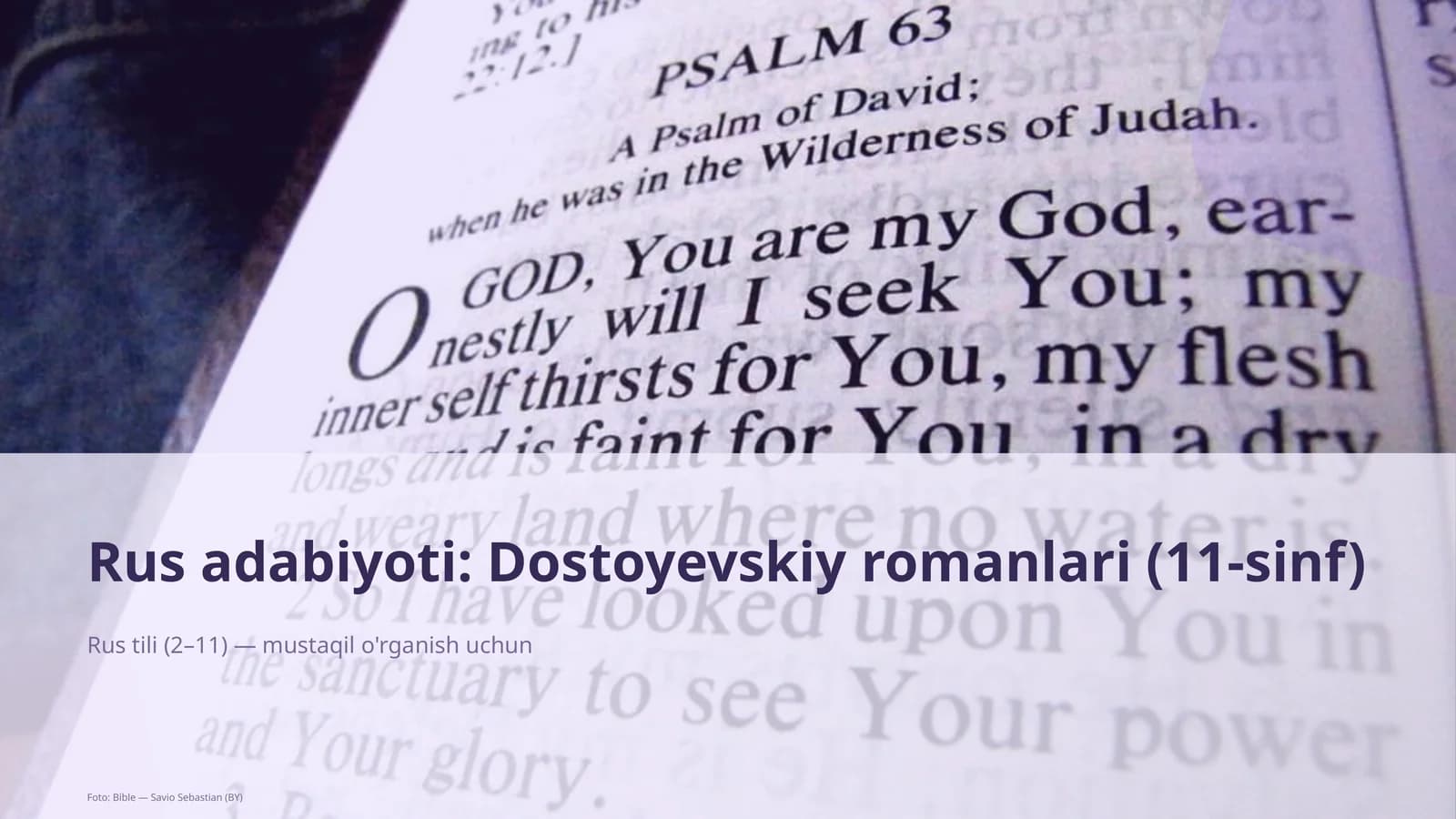 Rus adabiyoti: Dostoyevskiy romanlari (11-sinf)