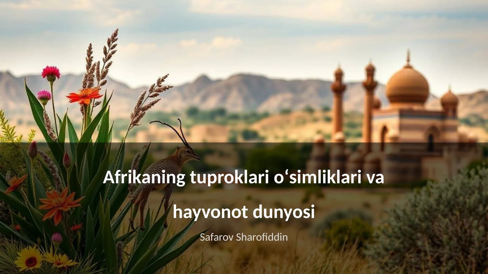 Afrikaning tuproklari oʻsimliklari va hayvonot dunyosi