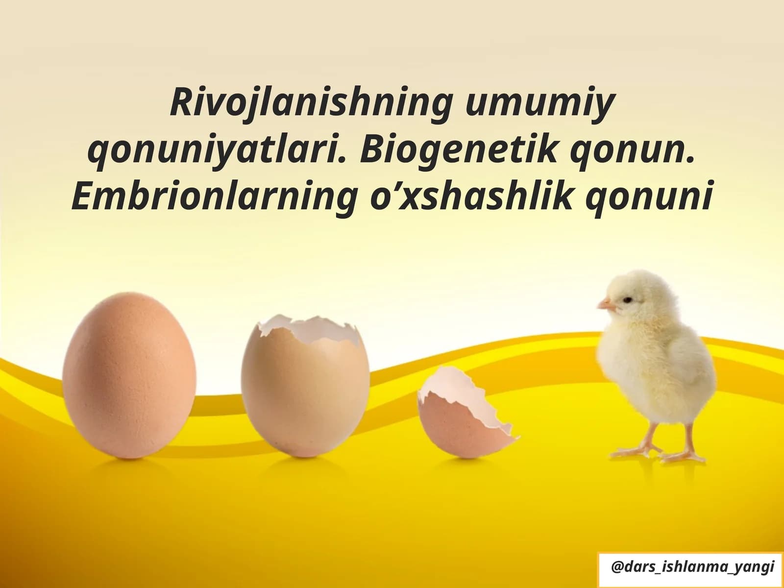 Embrion O‘xshashlik Qonuni