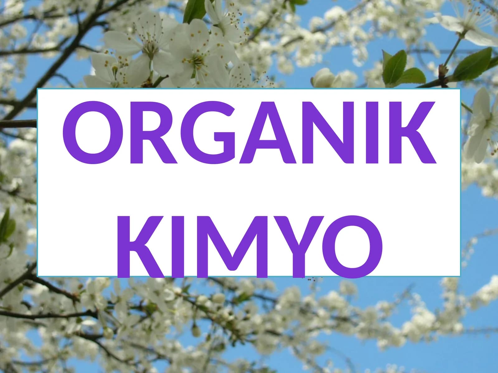 Organikkimyo