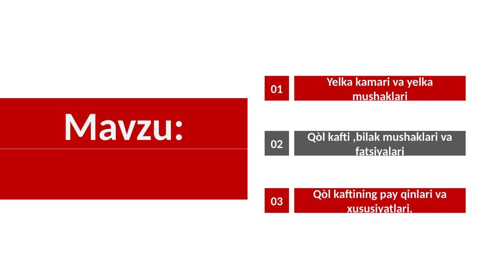 Qo'l muskullari