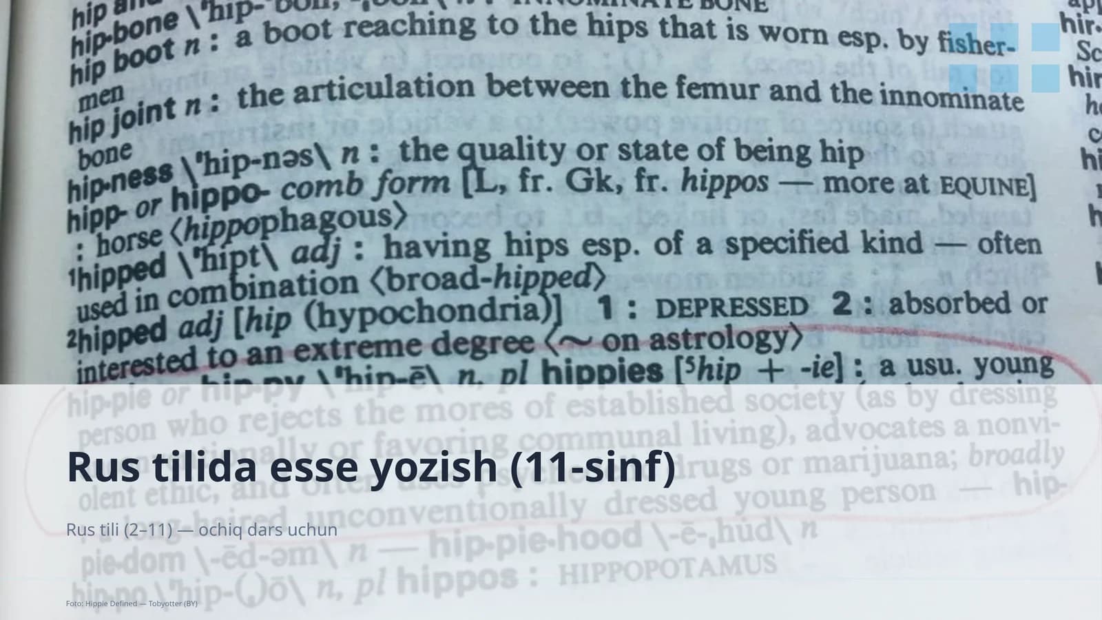 Rus tilida esse yozish (11-sinf)