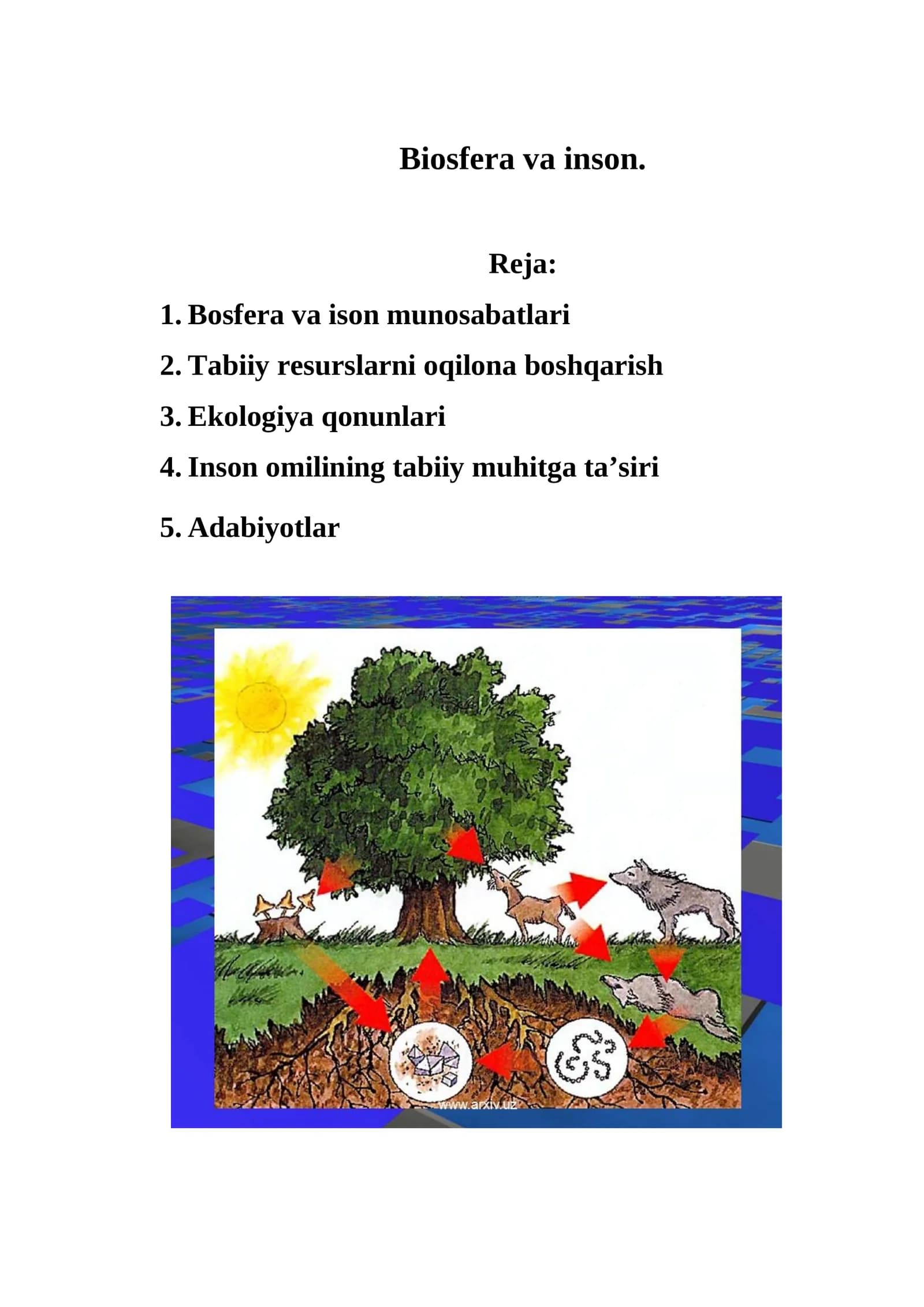 Biosfera va inson