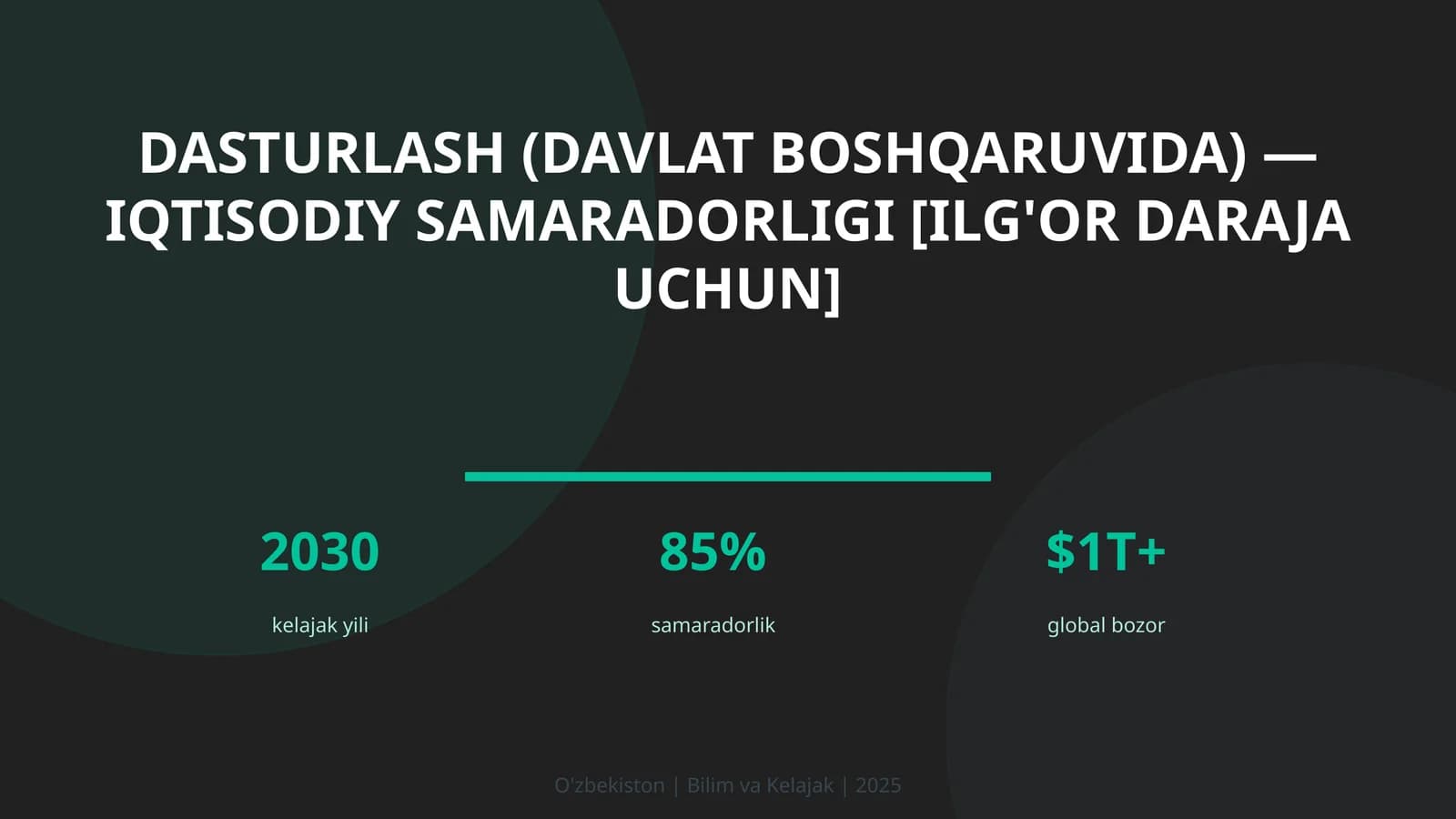 Dasturlash (davlat boshqaruvida) — iqtisodiy samaradorligi [ilg'or daraja uchun]