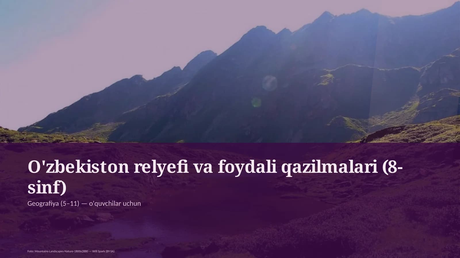 O'zbekiston relyefi va foydali qazilmalari (8-sinf)