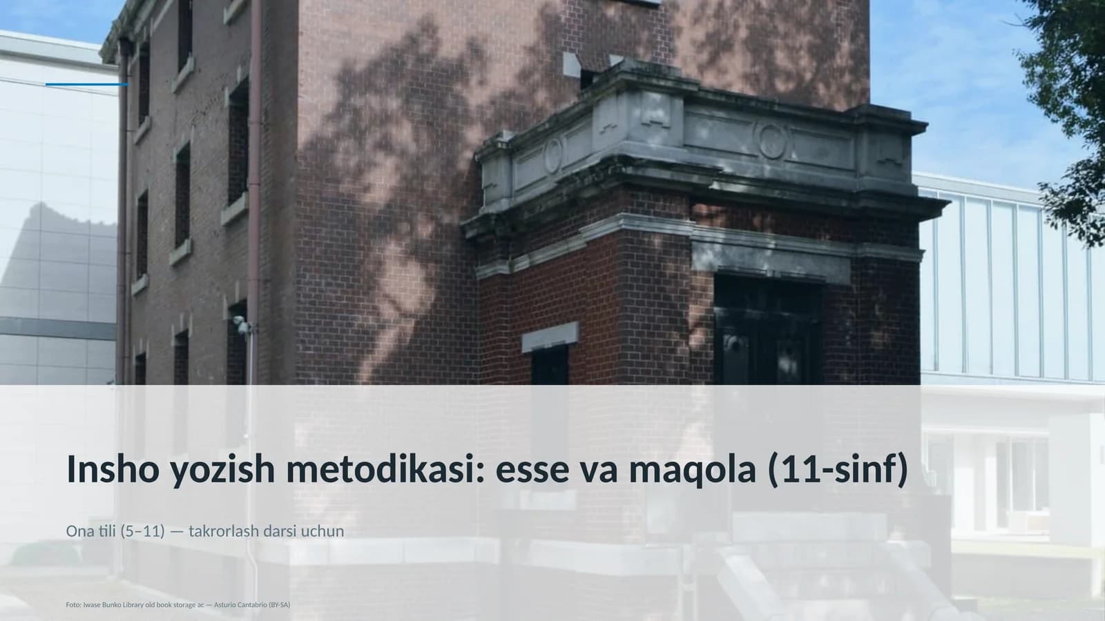 Insho yozish metodikasi: esse va maqola (11-sinf)