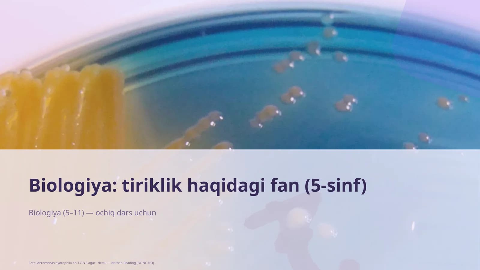 Biologiya: tiriklik haqidagi fan (5-sinf)
