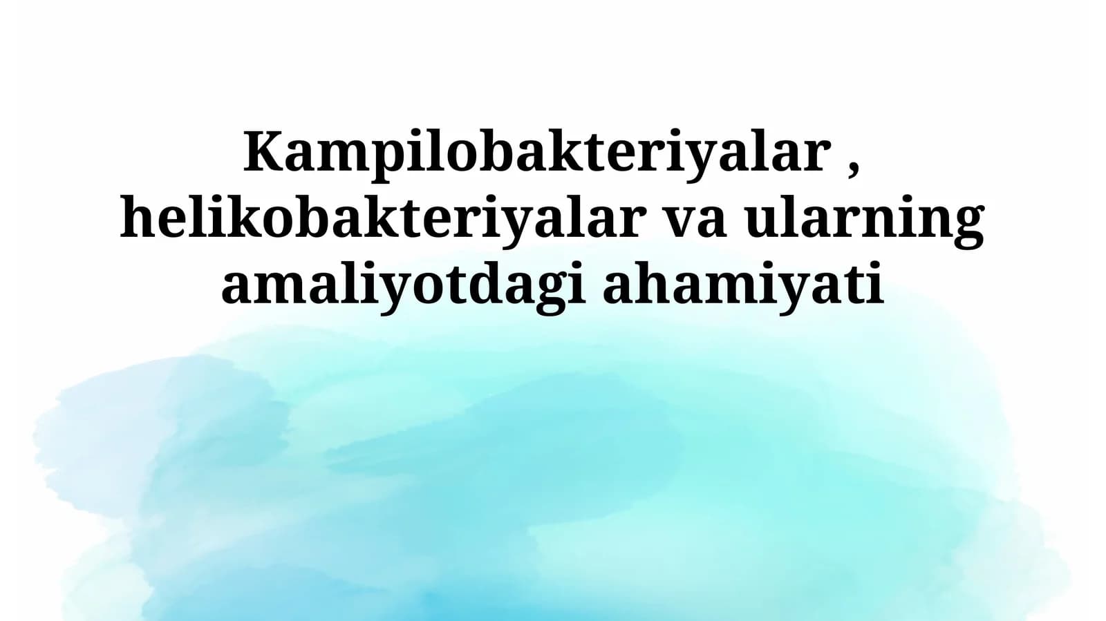 Kampilobakteriyalar, helikobakteriyalar va ularning amaliyotdagi ahamiyati