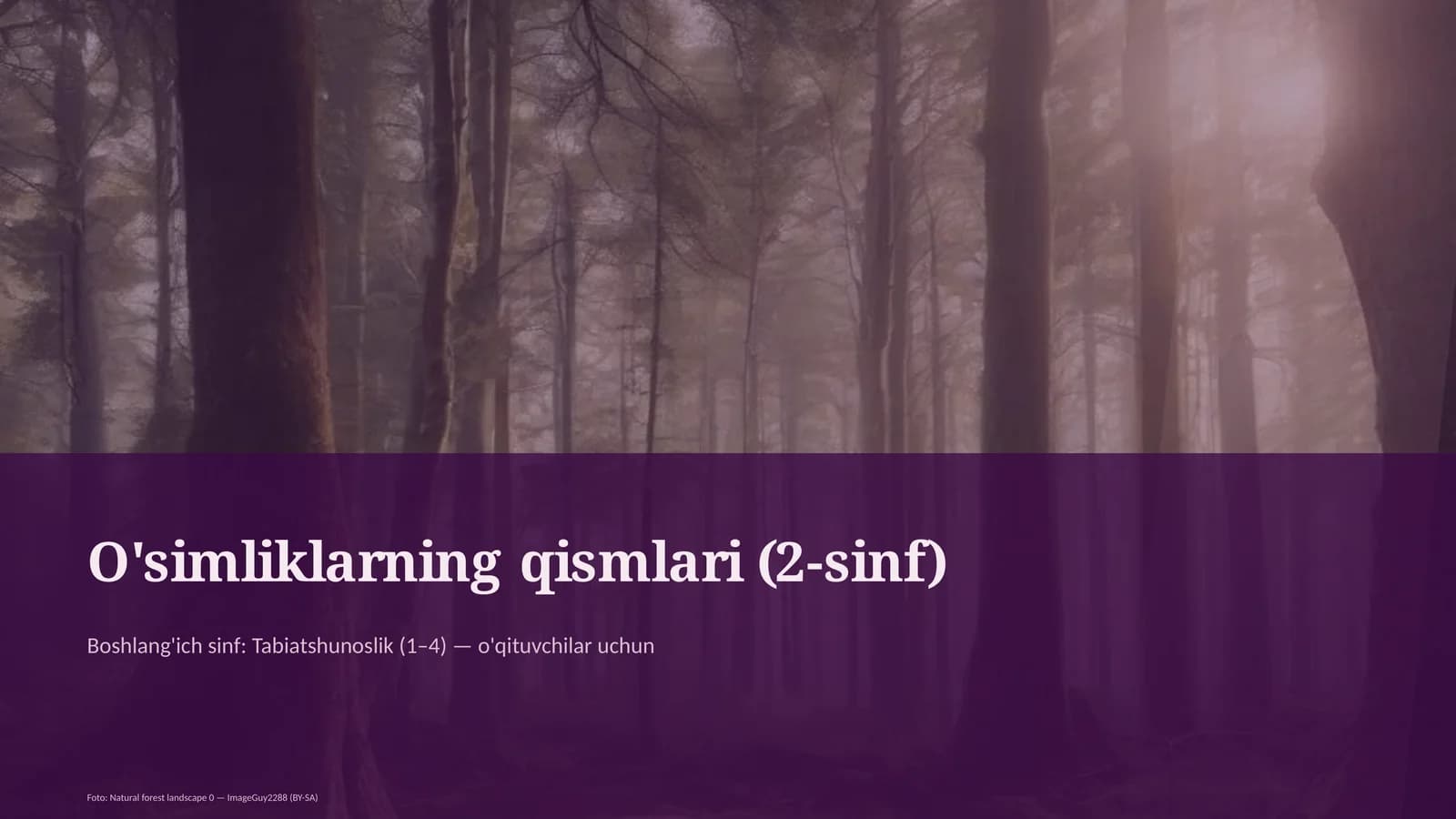 O'simliklarning qismlari (2-sinf)