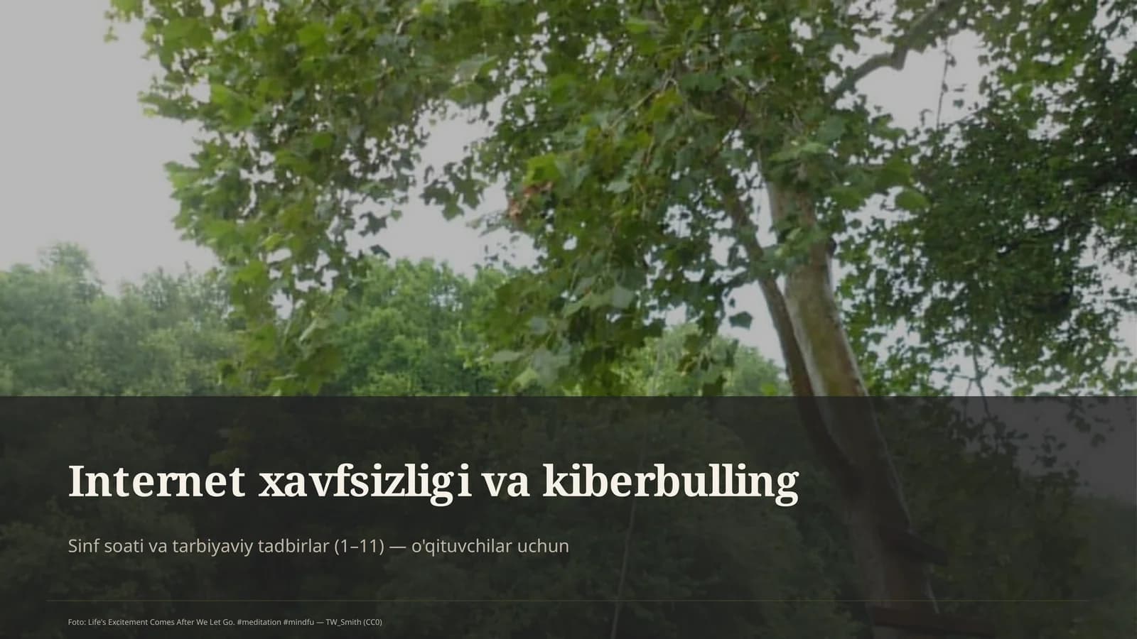 Internet xavfsizligi va kiberbulling