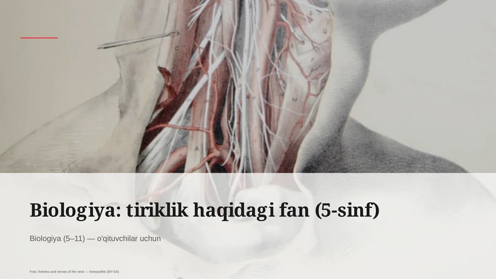 Biologiya: tiriklik haqidagi fan (5-sinf)