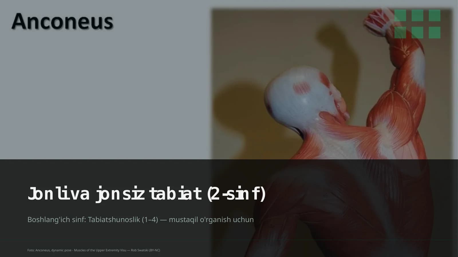 Jonli va jonsiz tabiat (2-sinf)
