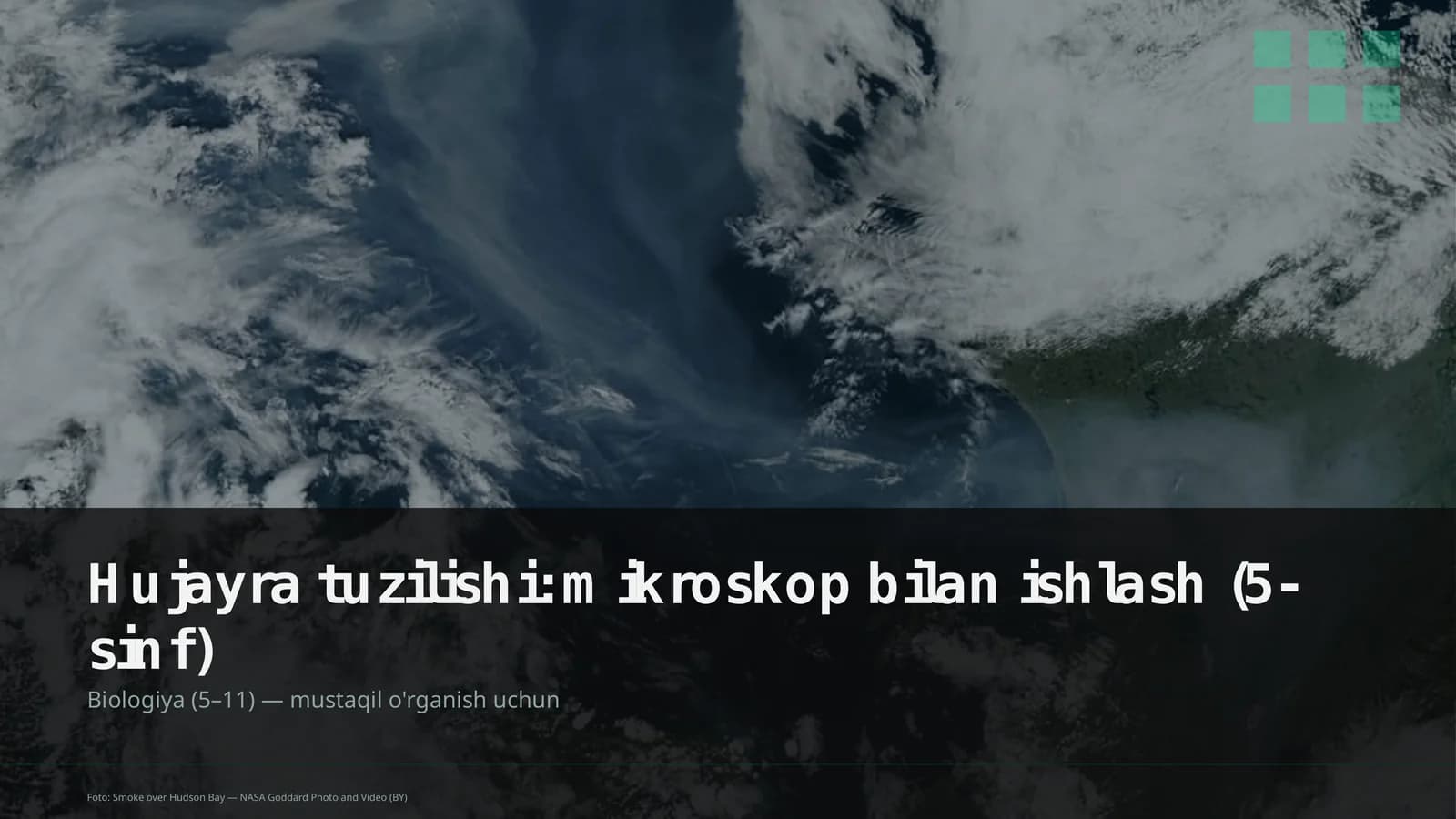Hujayra tuzilishi: mikroskop bilan ishlash (5-sinf)