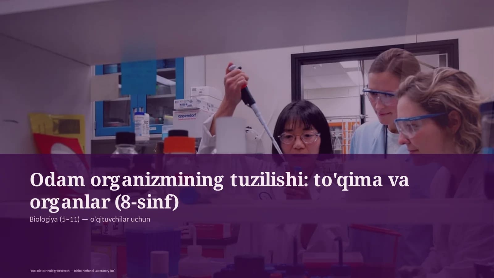 Odam organizmining tuzilishi: to'qima va organlar (8-sinf)