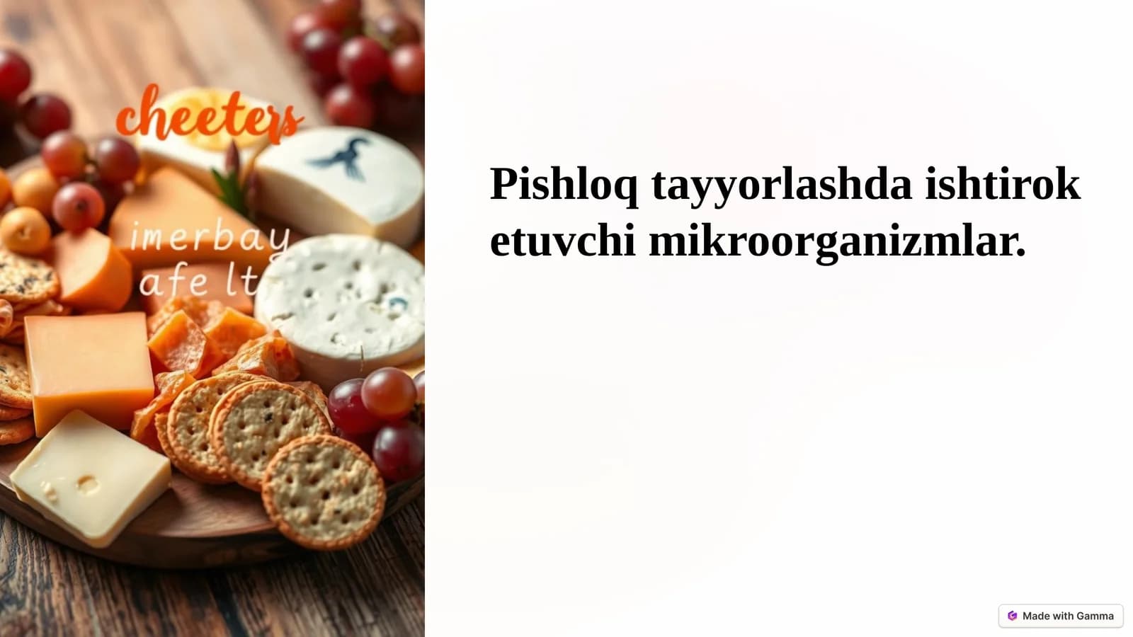 Pishloq tayyorlashda ishtirok etuvchi mikroorganizmlar