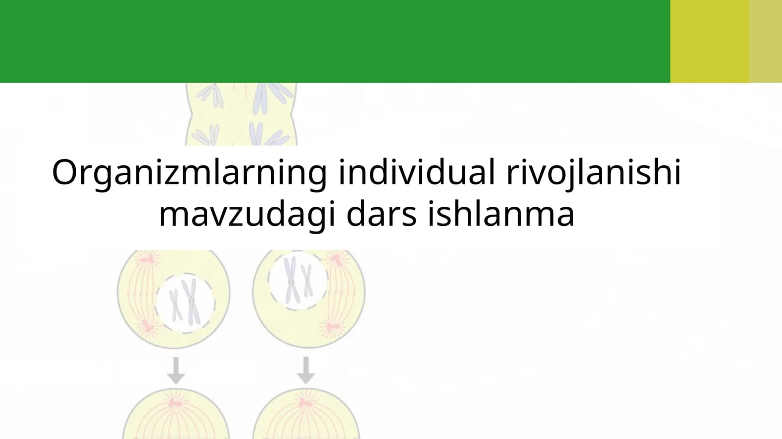 Organizmlarning individual rivojlanishi mavzudagi dars ishlanma